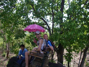IMGP0823