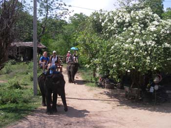 IMGP0831