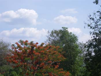 IMGP0833