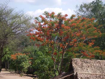 IMGP0834