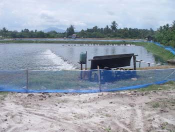 IMGP0898